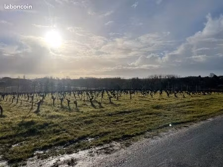 terrain 975 m² blaye