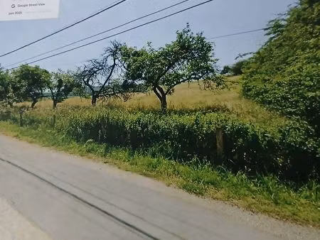 terrain constructible st bernard