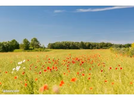 terrain 555 m² vensac