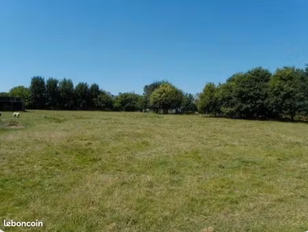 recherche terrain agricole / prairie pour chevaux