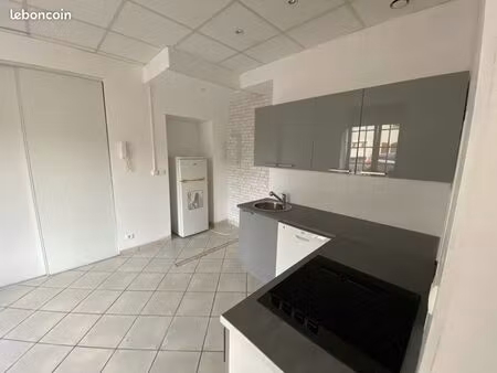 t3 avec jardin 208 m² + garage _ locataire en place