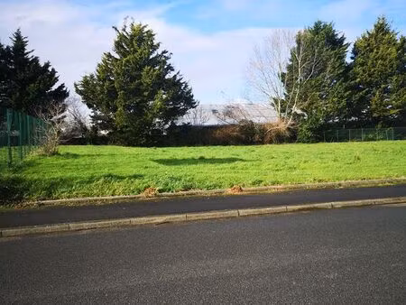 terrain zone artisanale