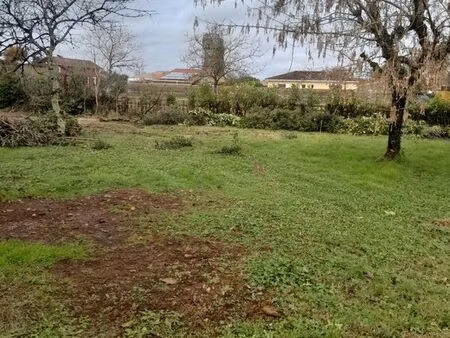 terrain à batir/divisible