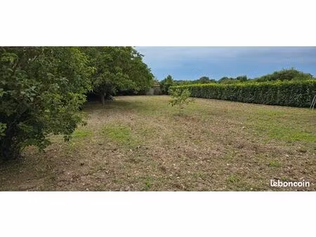 terrain agricole
