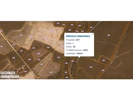 terrain forestier lugos