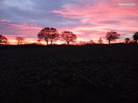 terrain constructible cholet