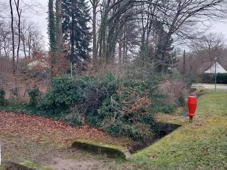 terrain viabilisé 1310 m² – emplacement premium – domaine de béon