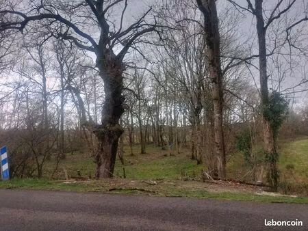 terrain bois taillis 6000m2