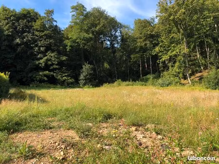 terrain viabilisé de 1249 m² à vendre
