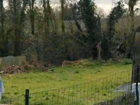 terrain constructible