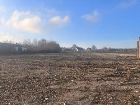 terrain constructible