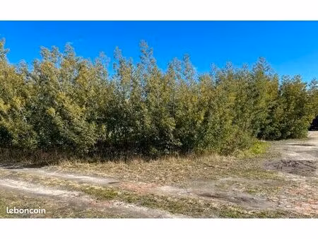 terrain 871 m² ygos saint saturnin