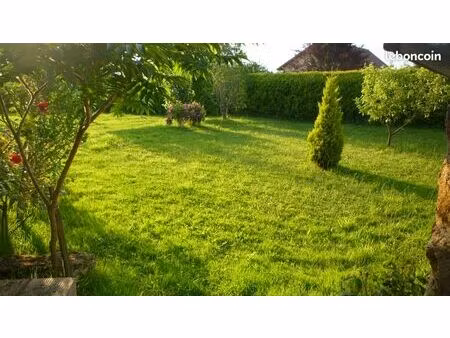 terrain constructible