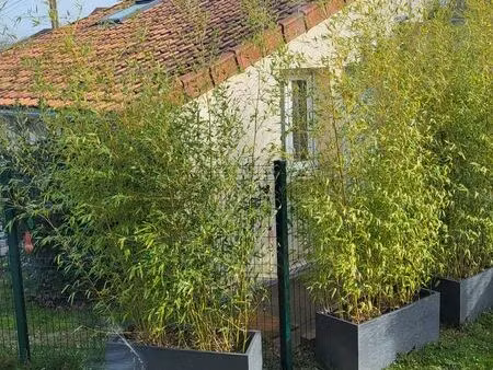 maison ? + jardin ? – 530 tout compris – calme à 50 min de paris