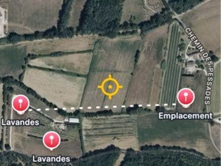 emplacement pour ruchers proche champs lavandes