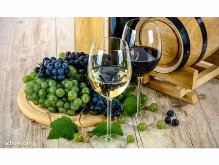 café  fonds de commerce 60 m² vannes