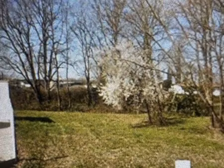 terrain constructible