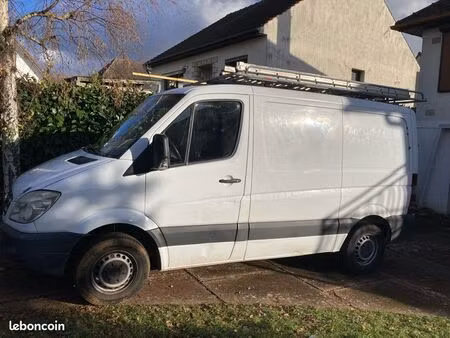 parcelle boisé chênes