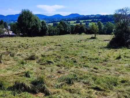 terrain constructible viabilisé à saint-bonnet-près-orcival – vue sur la chaîne des puys