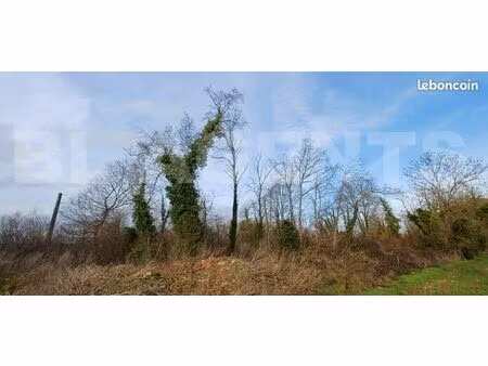 terrain 3 734 m² germigny l eveque