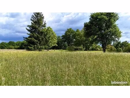 terrain 1 500 m² sauveterre de bearn