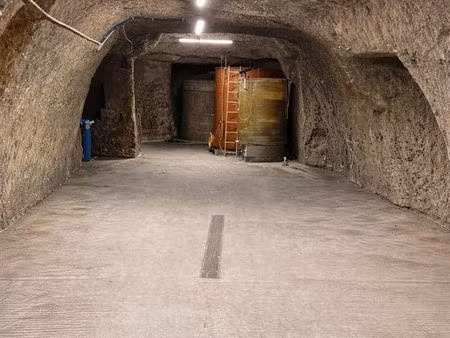 ensemble troglodytique