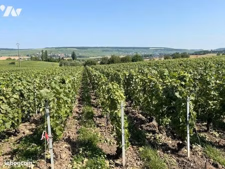 terrain 383 m² chamery