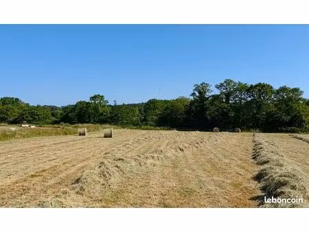 terrain agricole ou foin sur pied