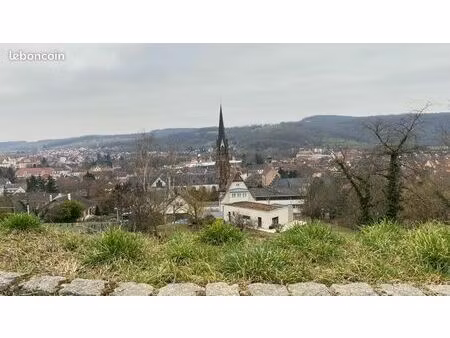 terrain sur les hauteurs de mutzig plein sud