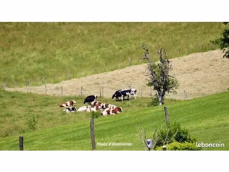 terrain 505 m² schweighouse-sur-moder