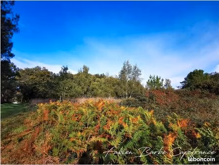 terrain 20 450 m² guer