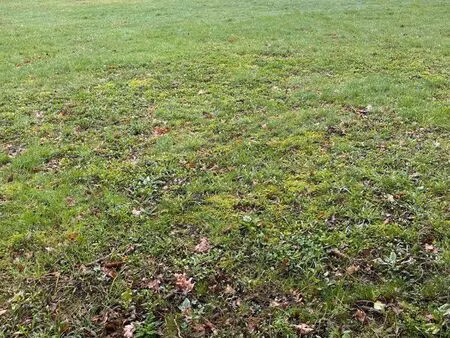 terrain constructible