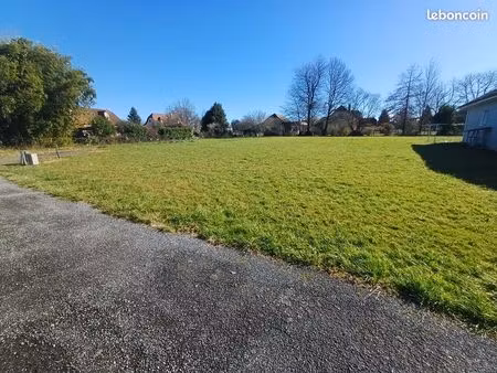 terrain constructible