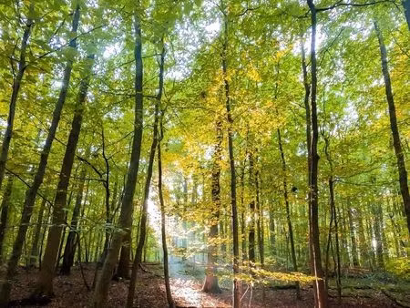 terrain agricole 2 525 m² ceauce