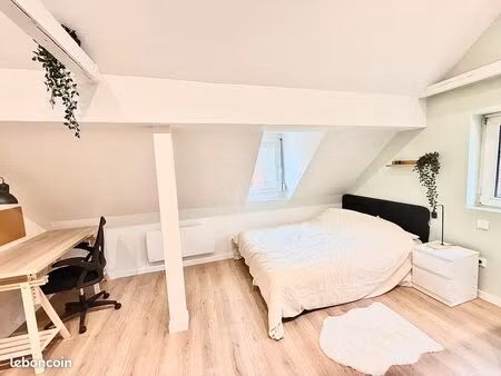 studio sous les combles entièrement rénové et meublé - 6600/an - renta 7 6%