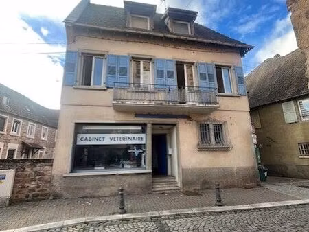 mutzig centre a saisir