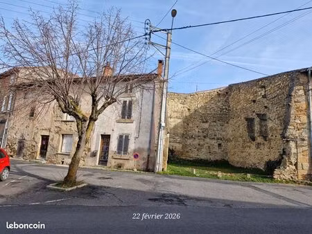 lot de 2 maisons + un jardin billom ( 63160)