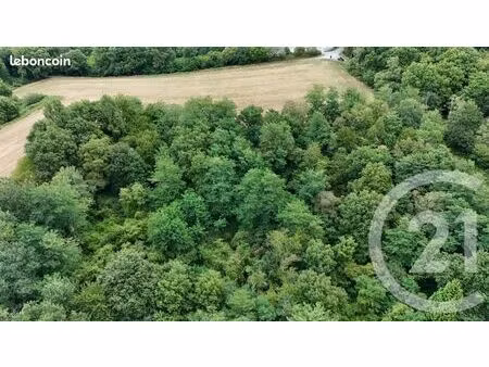 terrain 50 595 m² salies de bearn