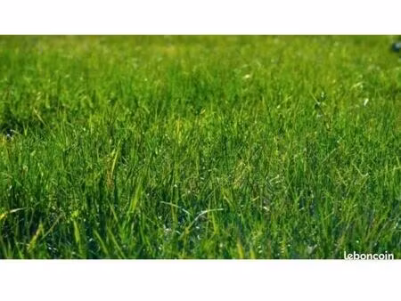 terrain constructible 76