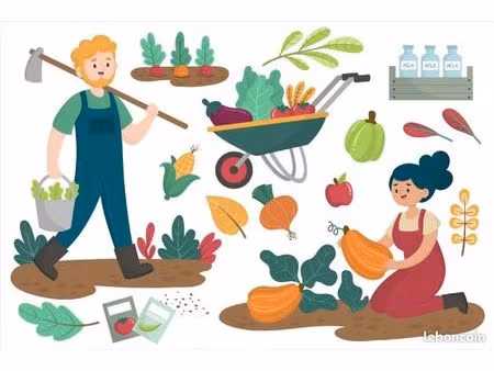 terrain 1332 m² épernay