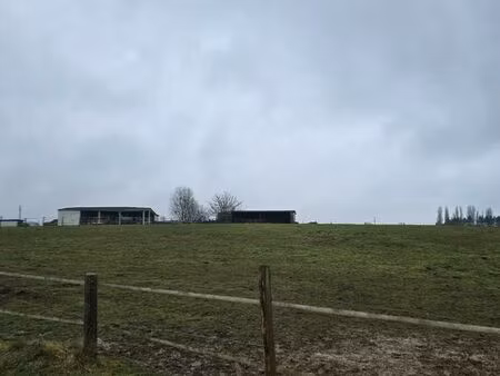 terrain pour chevaux