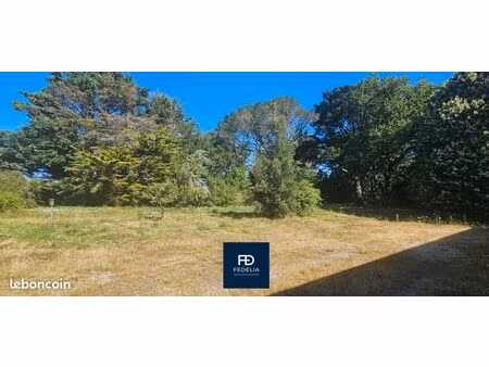 terrain 251 m² sene