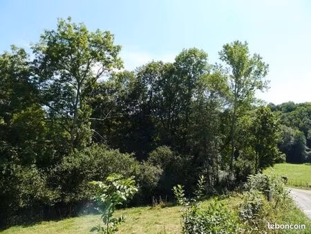 terrain nature 4000 m² avec vestiges xviiie – montchal (42)