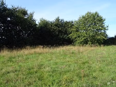 dpt seine maritime (76)  à vendre hericourt en caux terrain à bâtir