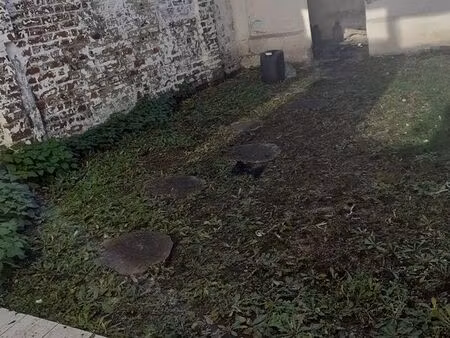 maison à vendre st andré lez lille