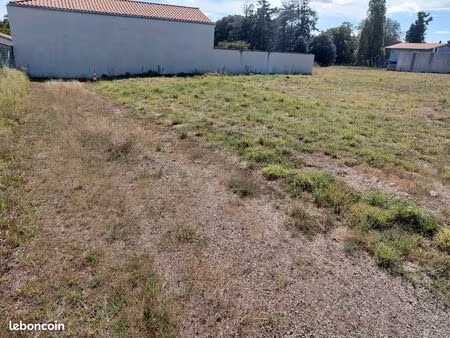 terrain constructible