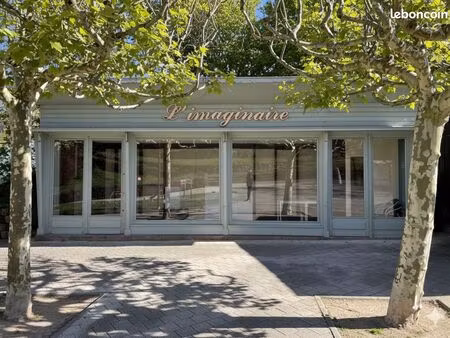 murs commerciaux – emplacement stratégique – cœur du parc thermal