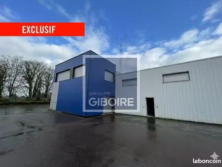 local d'activité 625 m²