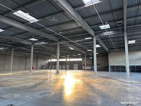 local logistique 17 159 m²