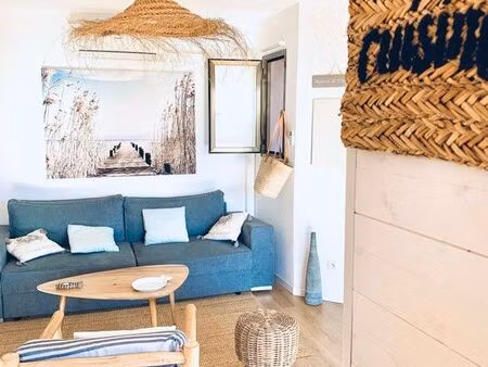 agreable 2 pieces avec terrasse a collioure